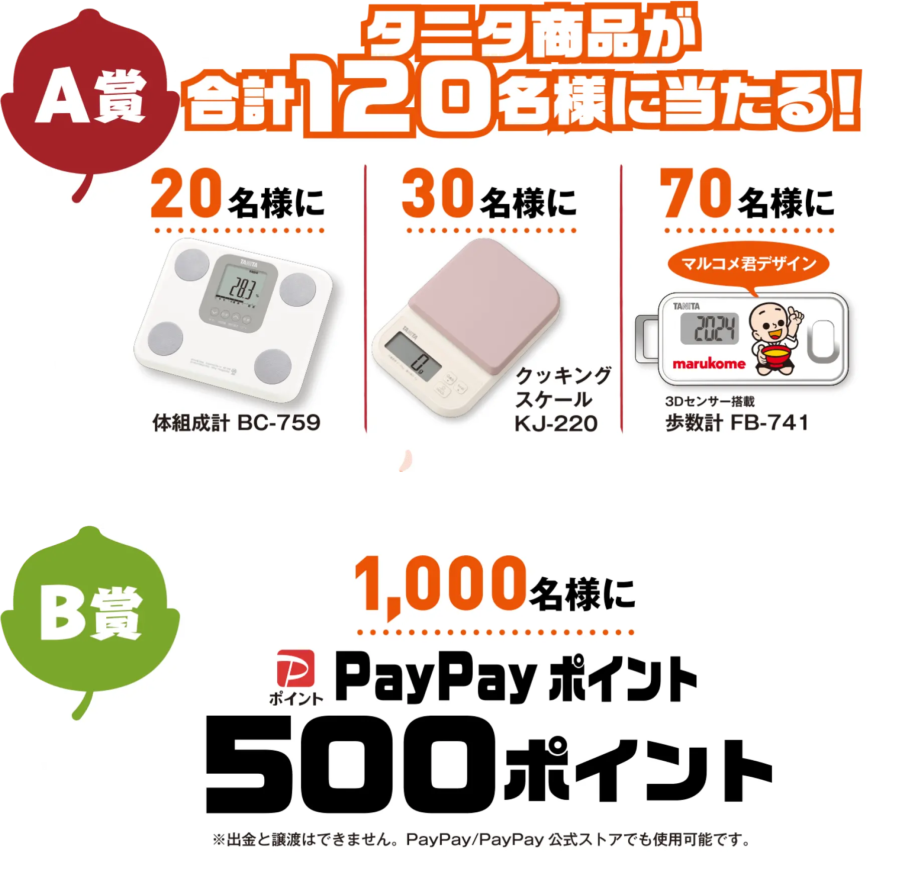 A賞 タニタ商品が合計120名様に当たる！ B賞 1,000名様にPayPayポイント 500ポイント